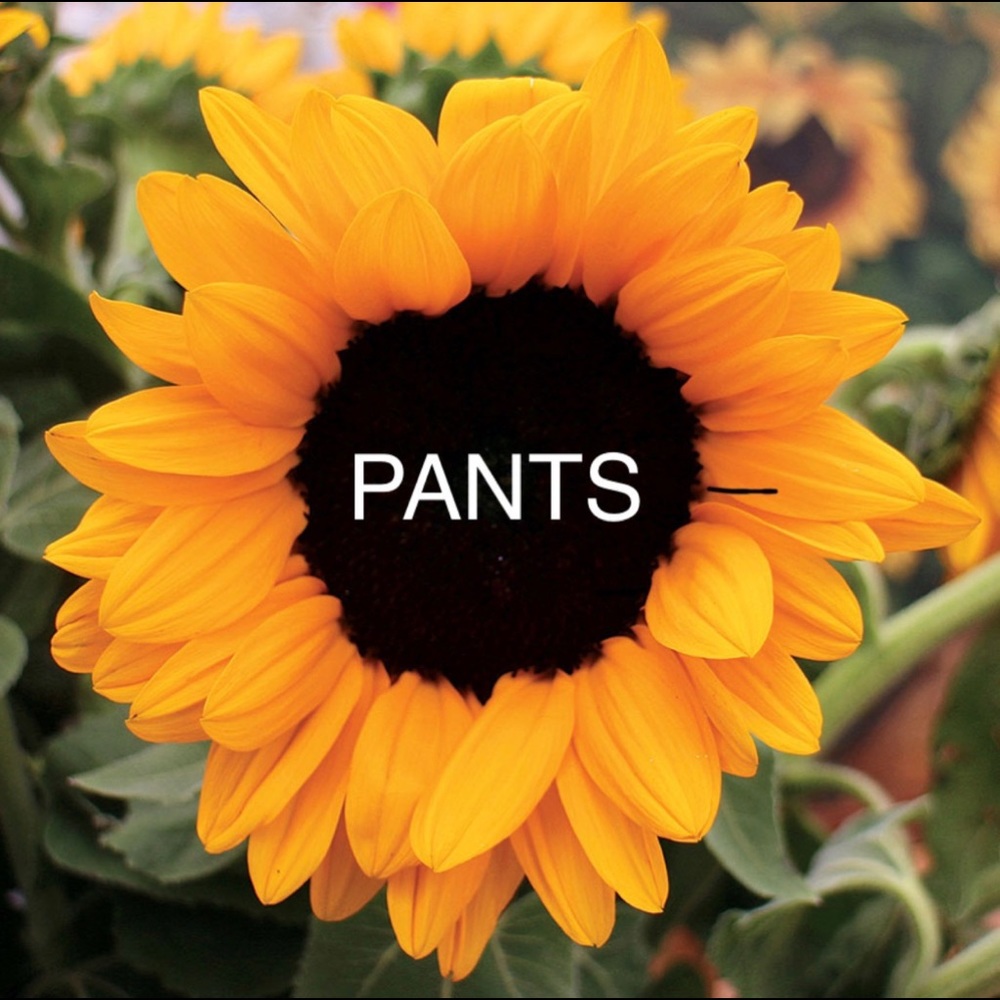 P A N T S